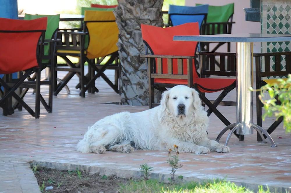 Les Riads De Jouvence Ouled Moumen Екстериор снимка